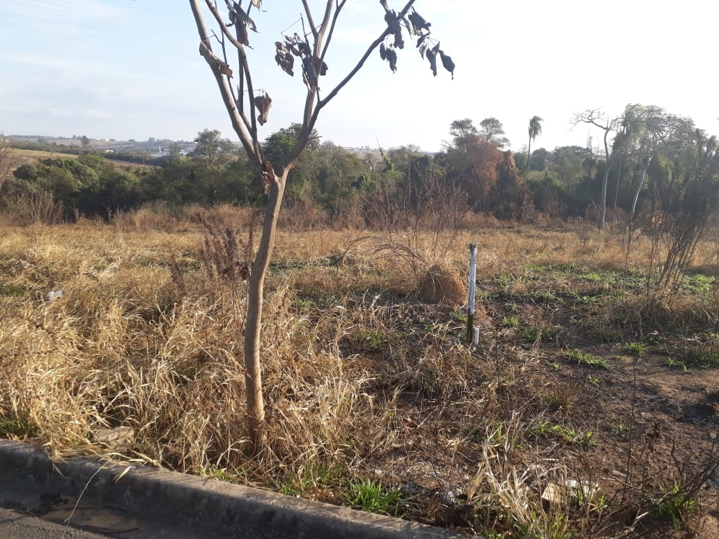Área para galpão à venda em Sorocaba/SP - Tijon Imóveis